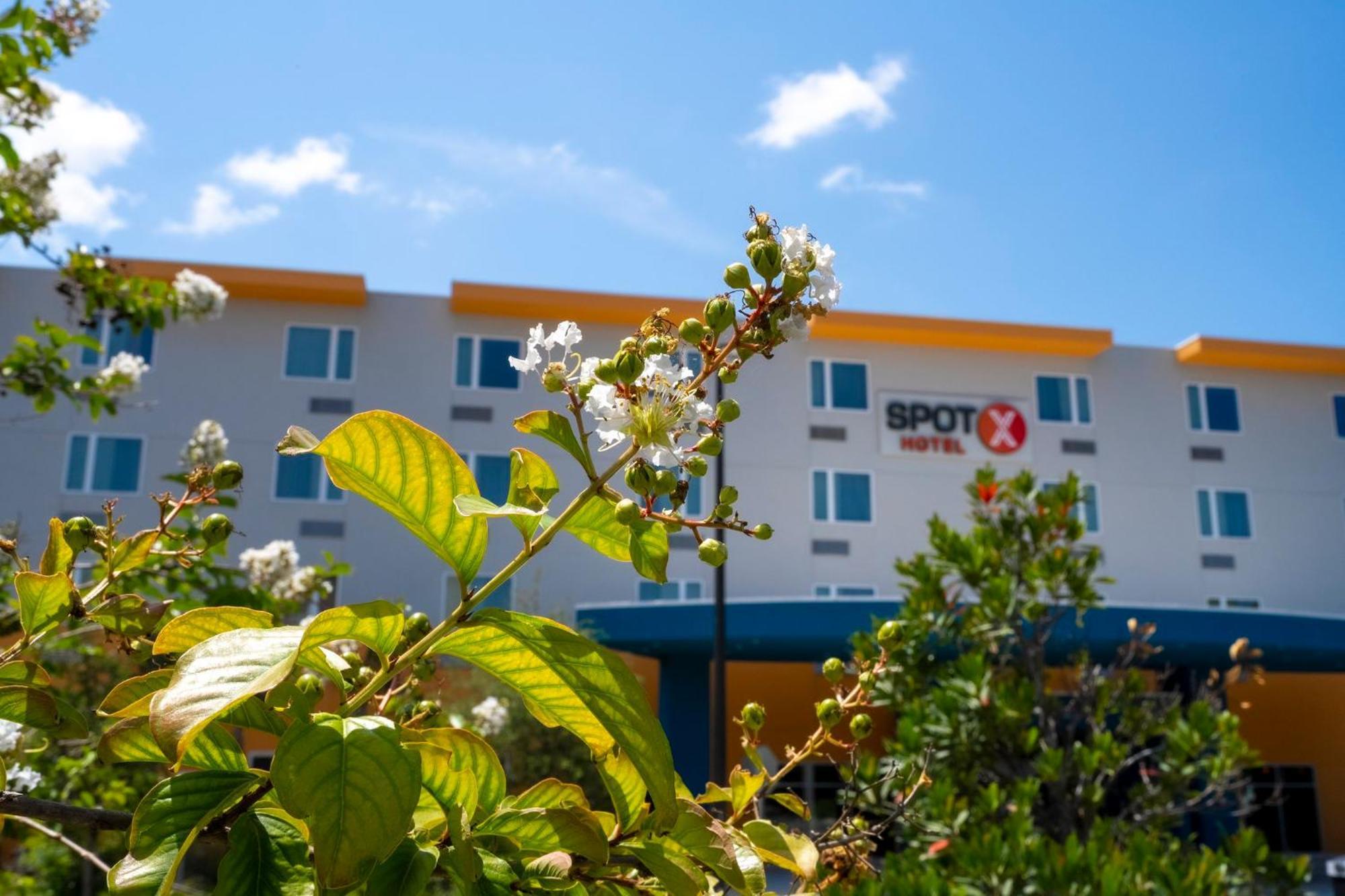 Spot X Hotel Orlando Intl Dr By The Red Collection Lake Buena Vista Extérieur photo